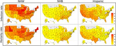 Differential Impact of COVID-19 Risk Factors on Ethnicities in the United States